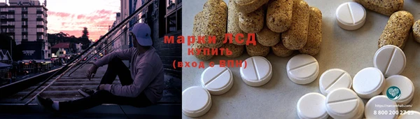 индика Вязники
