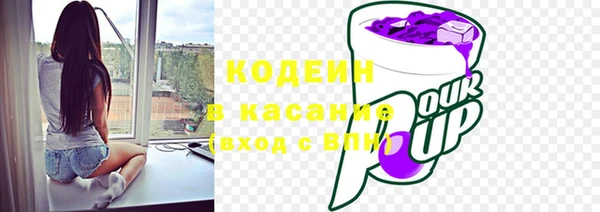 индика Вязники