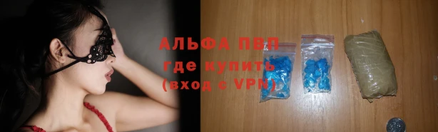индика Вязники