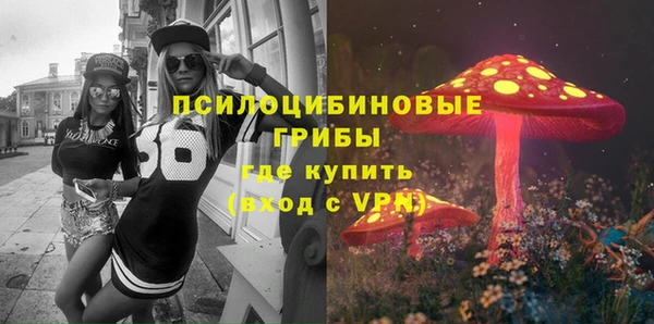 spice Вязьма