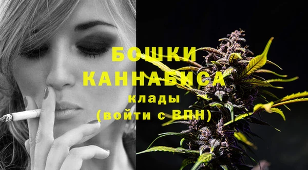 индика Вязники