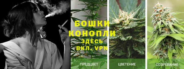 индика Вязники