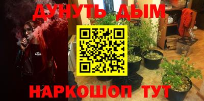 крисы Лесосибирск