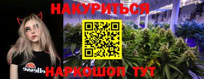 крисы Лесосибирск