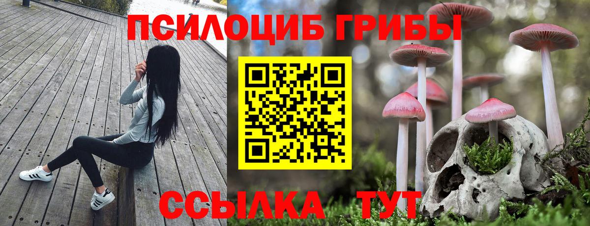 Галлюциногенные грибы ЛСД Губаха